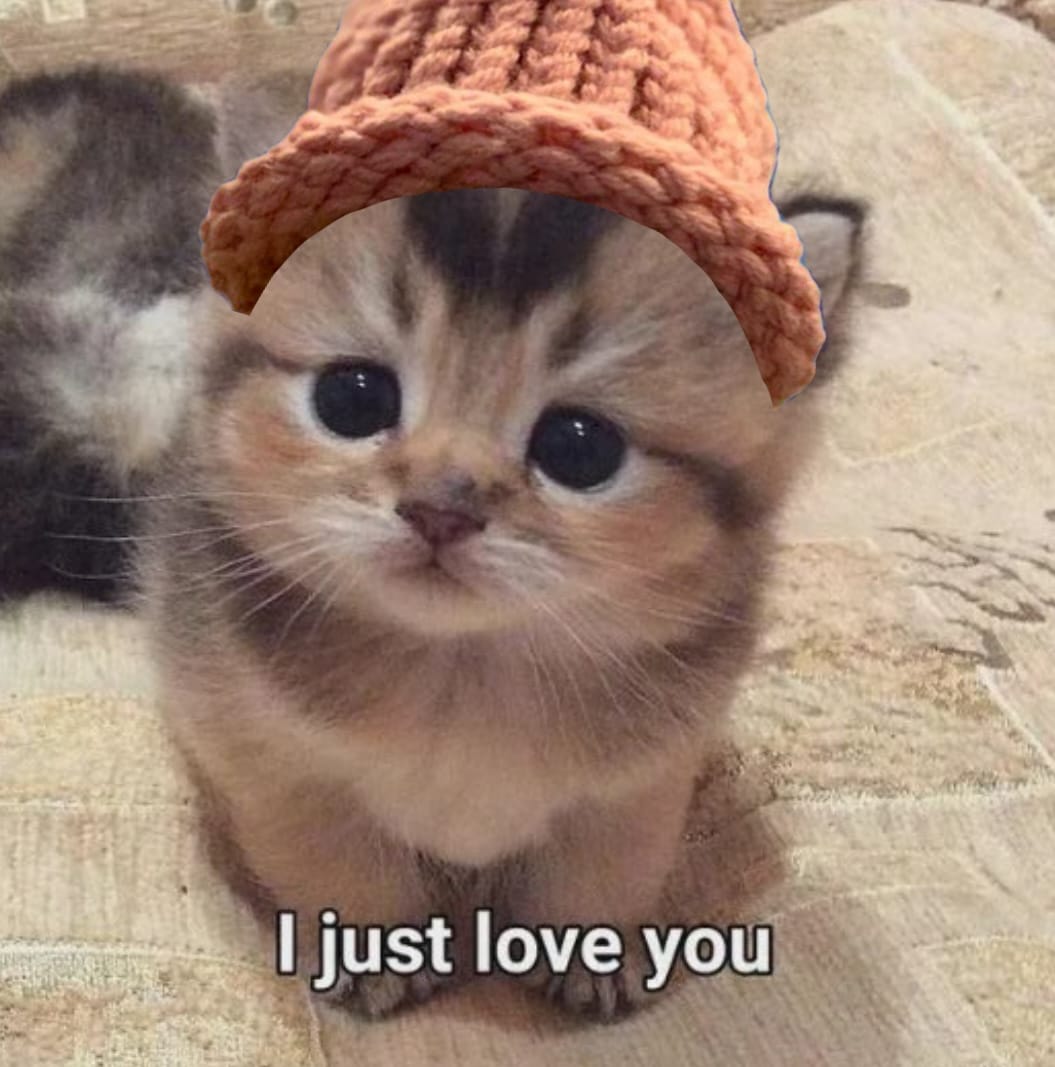 CatWifHat $CWIF - Solana Memecoin CatWifHat $CWIF - Solana Memecoin