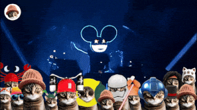 CatWifHat $CWIF - Solana Memecoin CatWifHat $CWIF - Solana Memecoin