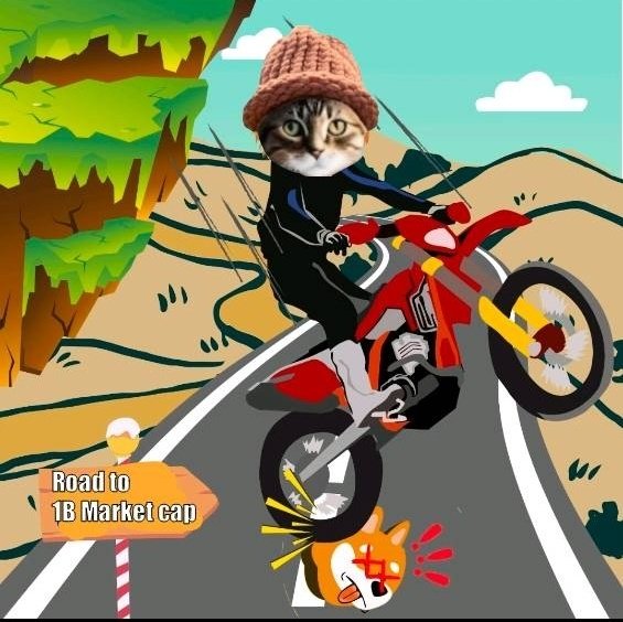 CatWifHat $CWIF - Solana Memecoin CatWifHat $CWIF - Solana Memecoin