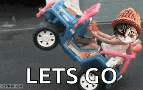 CatWifHat $CWIF - Solana Memecoin CatWifHat $CWIF - Solana Memecoin