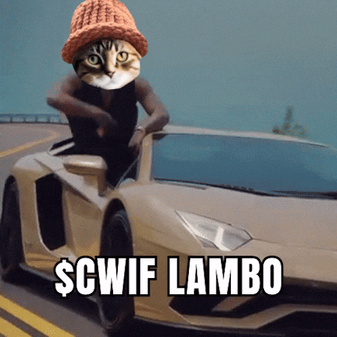 CatWifHat $CWIF - Solana Memecoin CatWifHat $CWIF - Solana Memecoin