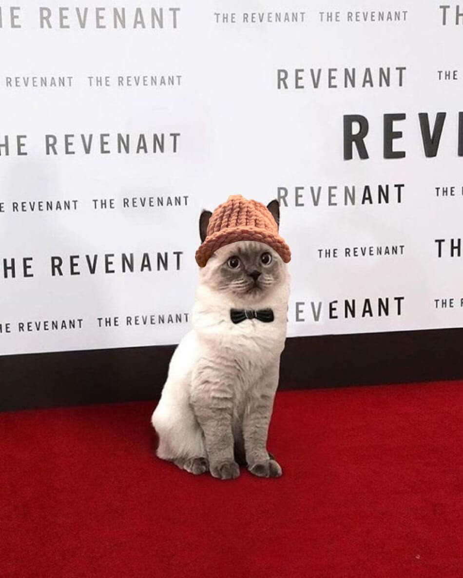 CatWifHat $CWIF - Solana Memecoin CatWifHat $CWIF - Solana Memecoin