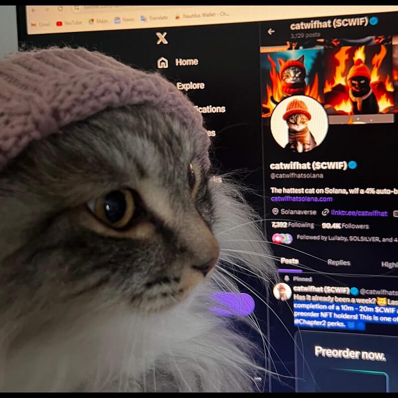 CatWifHat $CWIF - Solana Memecoin CatWifHat $CWIF - Solana Memecoin