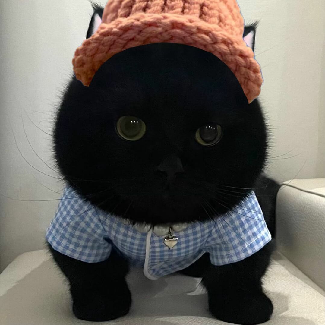 CatWifHat $CWIF - Solana Memecoin CatWifHat $CWIF - Solana Memecoin