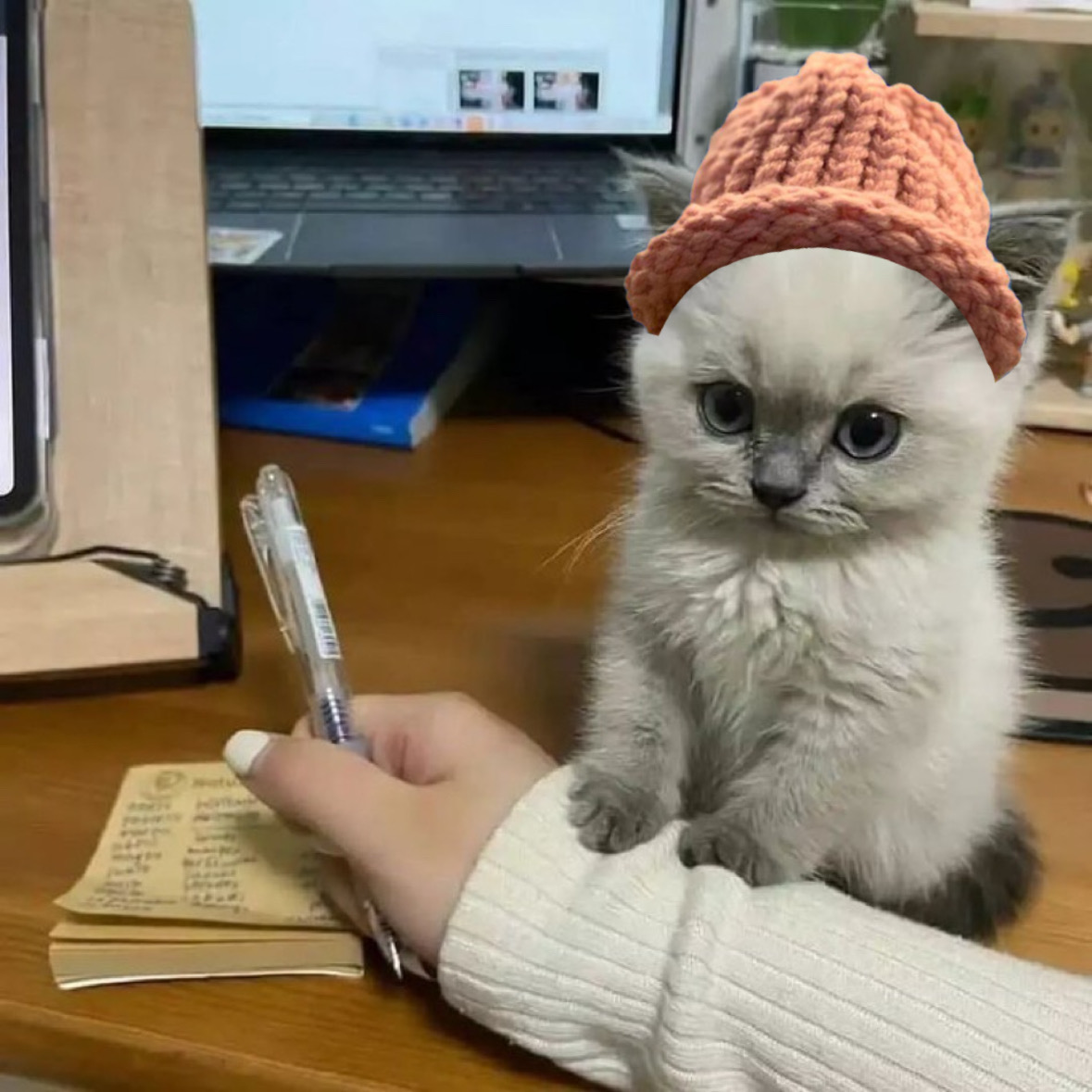 CatWifHat $CWIF - Solana Memecoin CatWifHat $CWIF - Solana Memecoin