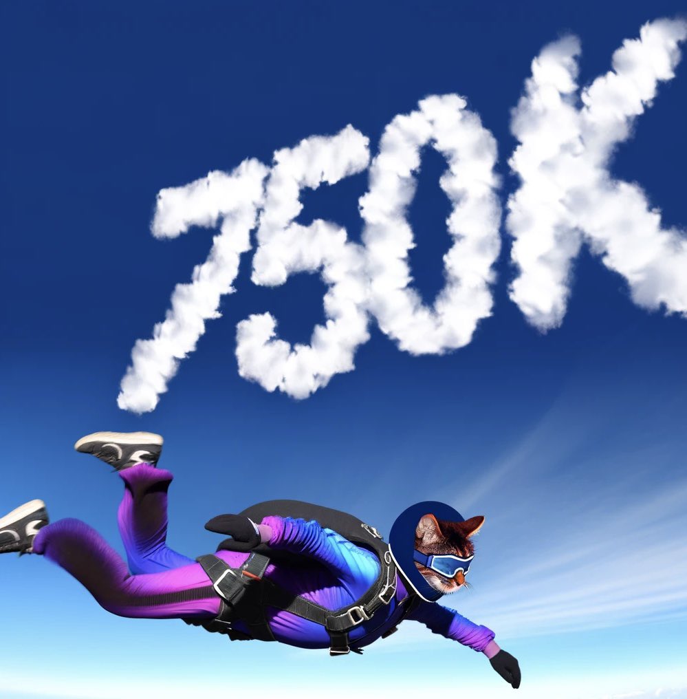 CatWifHat $CWIF - Solana Memecoin CatWifHat $CWIF - Solana Memecoin