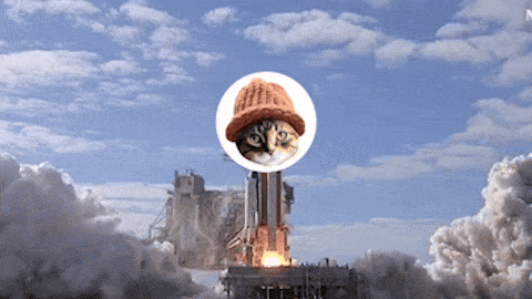 CatWifHat $CWIF - Solana Memecoin CatWifHat $CWIF - Solana Memecoin