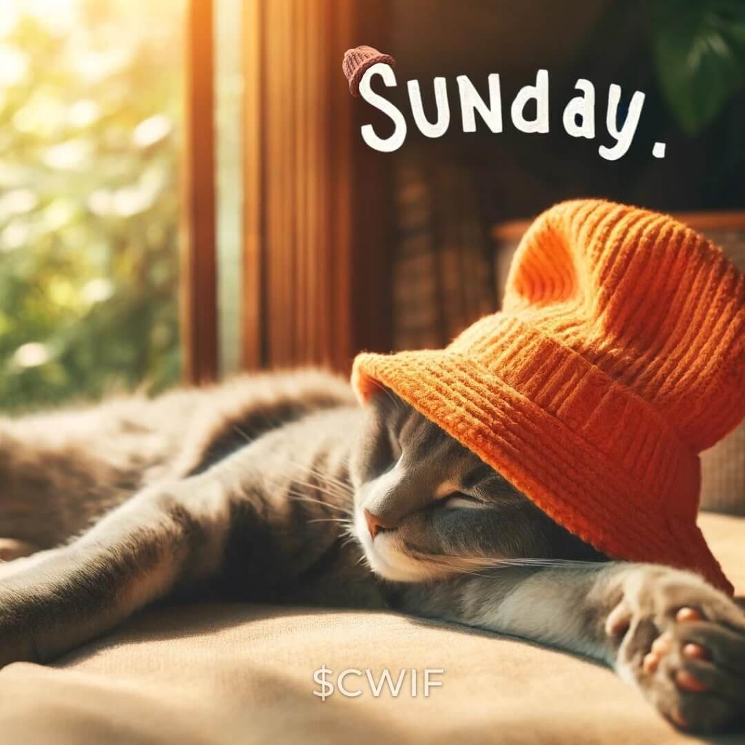 CatWifHat $CWIF - Solana Memecoin CatWifHat $CWIF - Solana Memecoin