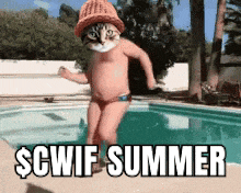 CatWifHat $CWIF - Solana Memecoin CatWifHat $CWIF - Solana Memecoin