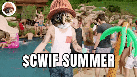CatWifHat $CWIF - Solana Memecoin CatWifHat $CWIF - Solana Memecoin