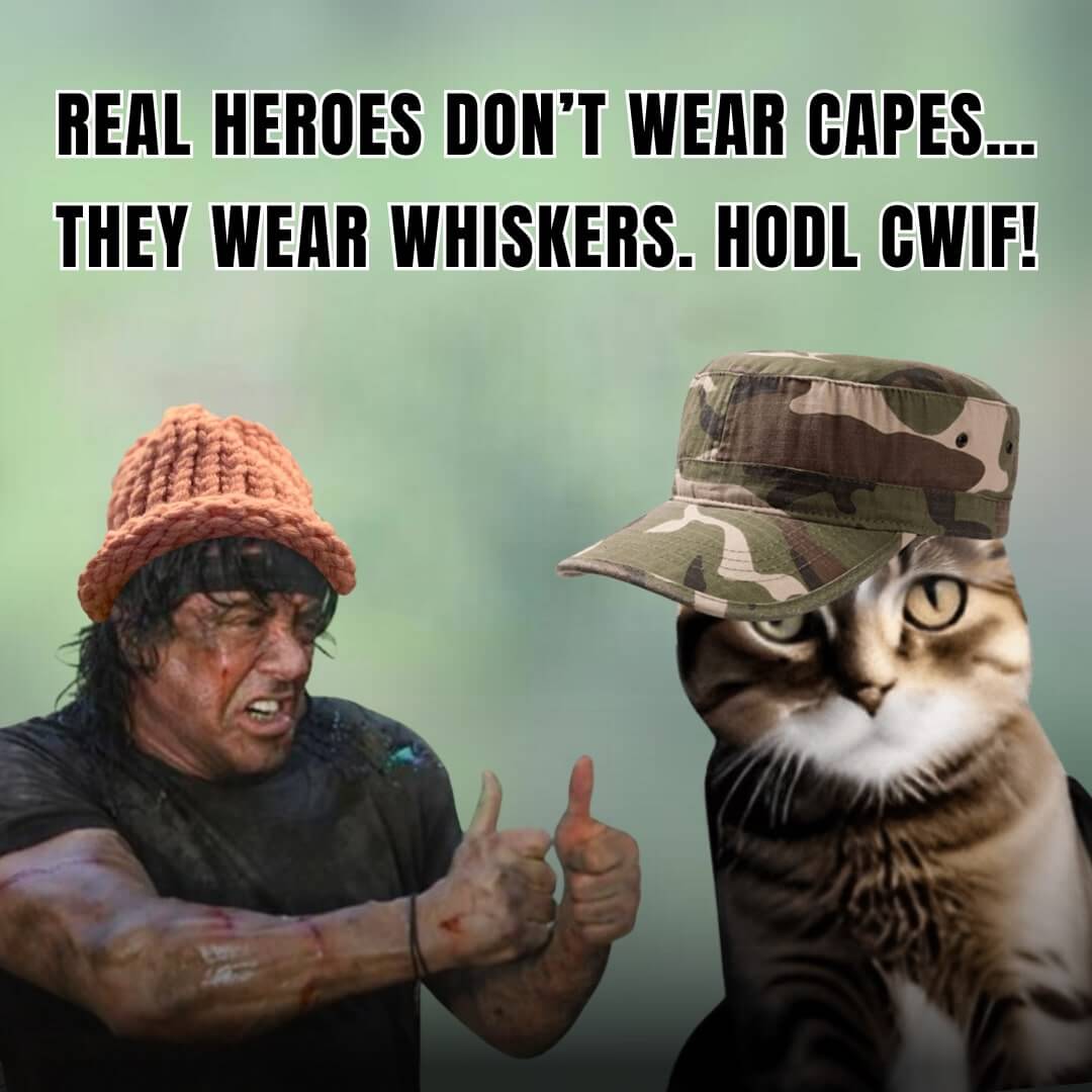 CatWifHat $CWIF - Solana Memecoin CatWifHat $CWIF - Solana Memecoin