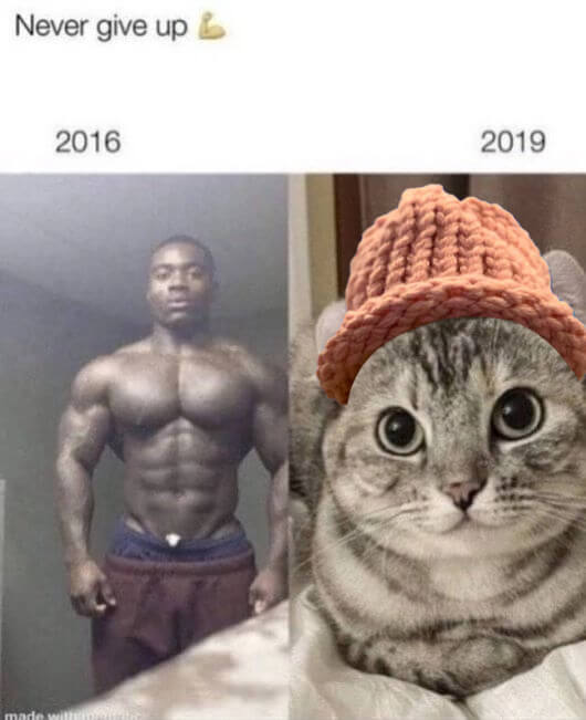 CatWifHat $CWIF - Solana Memecoin CatWifHat $CWIF - Solana Memecoin