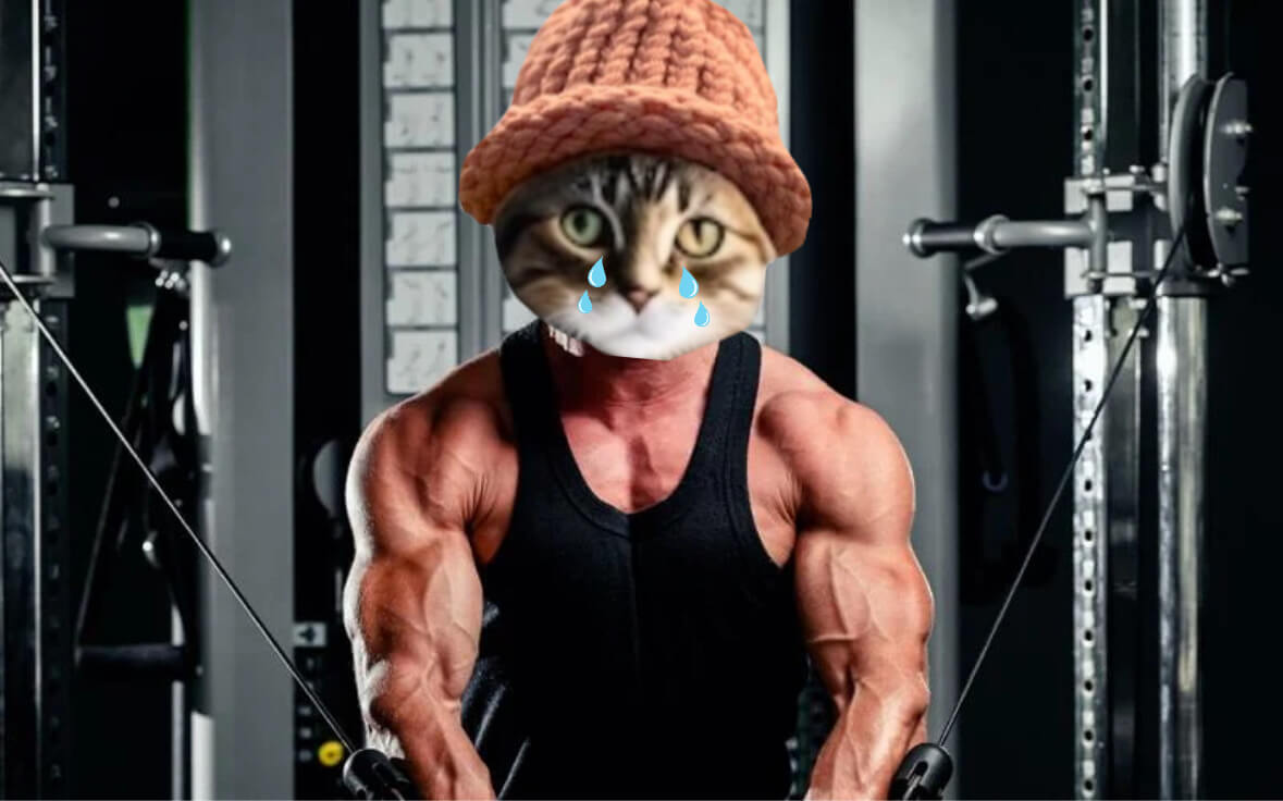 CatWifHat $CWIF - Solana Memecoin CatWifHat $CWIF - Solana Memecoin