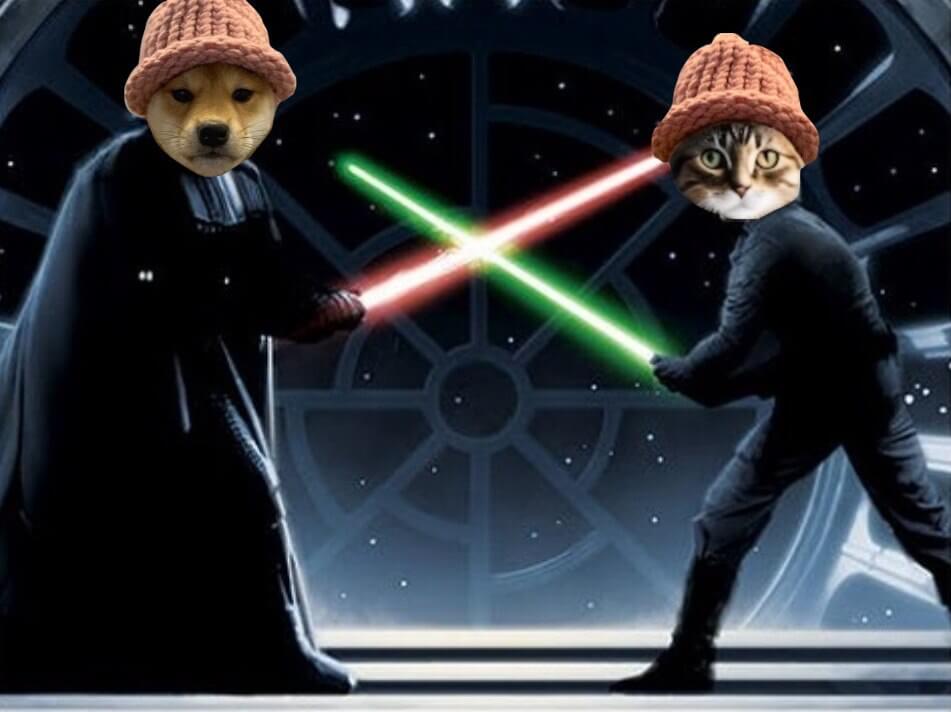 CatWifHat $CWIF - Solana Memecoin CatWifHat $CWIF - Solana Memecoin