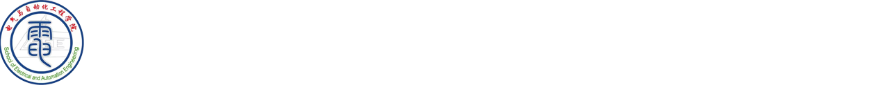 懂球体育